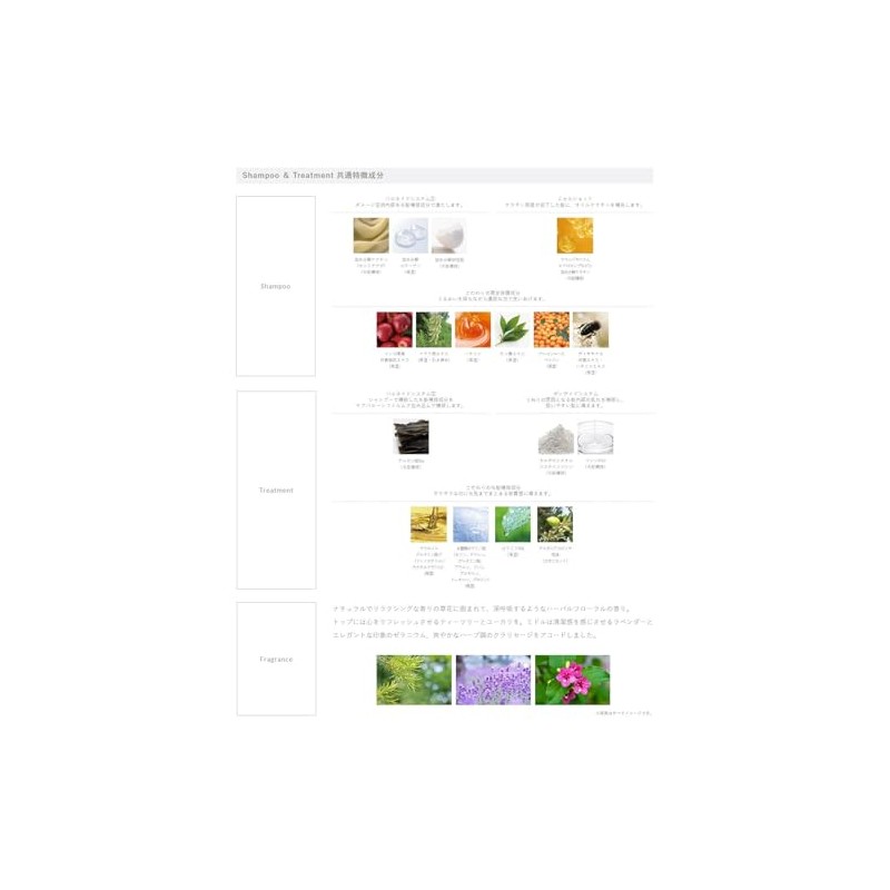 Demi Flowdia Shampoo, Grandmerrow, 8.5 fl oz (250 ml)