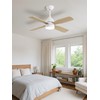 42 Inch Ceiling Fan with Light, APP & Remote, Downrod