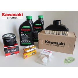 Kawasaki OEM TUNE UP KIT FOR KAWASAKI FR541V, FR600V ENGINES, SMALL FUEL FILTER