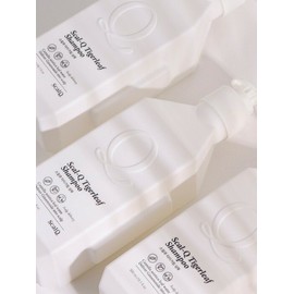 Dandruff itching relief hair loss functional shampoo 500ml 3pcs / 비듬 가려움 완화 탈모 기능성 샴푸 500ml 3개