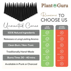60 Unscented Charcoal Incense Cones 2" TOPFLOW - 100% Natural Blanks - Great for DIY Aromatherapy Incense Making, Burner and Holder