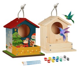 Bird House Kits for Adult, Wooden DIY Birdhouse Kit, Outdoor Woodworking Crafts Freestyle Painting, Arts and Crafts Projects with Paints & Brushes, Hanging Birdhouse for Garden Yard Decor Gifts (2Pcs)