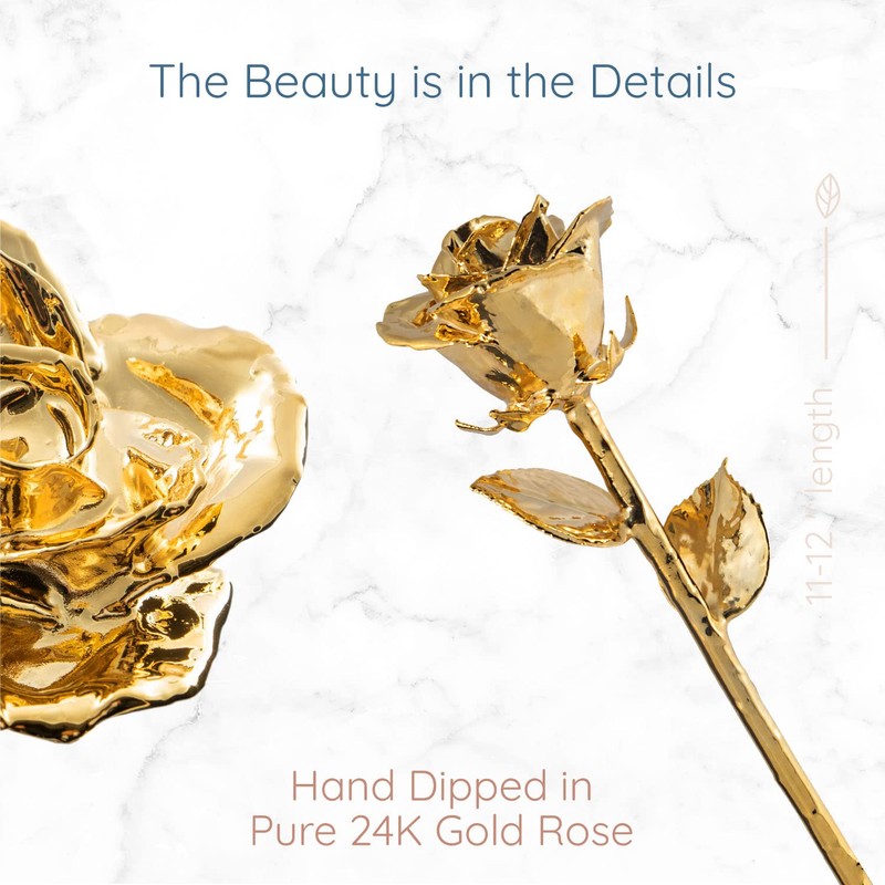 Fantasy Rose 24K Gold Dipped Rose, Unique & Everlasting Real