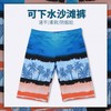 a799 New Men's Plus Size Loose Beach Swim Trunks with Discreet Lining Trunks Option1/Blue Coconut Beach Print 10ea