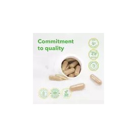 Lymphatic Support Formula with 1000mg Diosmin & Hesperidin, Plus Selenium and Vitamin D3 – Advanced Circulation and Immune Support Supplement – 60 Capsules