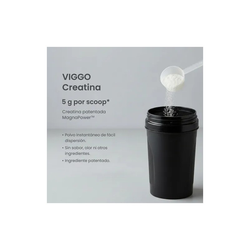 Viggo Creatina Magnapower En Polvo 450g Sin Sabor Sin Sabor