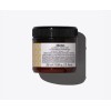 Davines Alchemic Golden Shampoo + Conditioner - Dorado