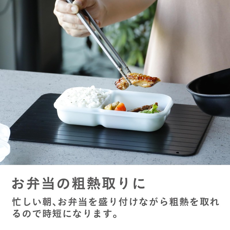 CBJAPAN Thawing Plate, Rapid Defrosting, Thickness 0.1 inch (3 mm),