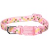 amble color point pink