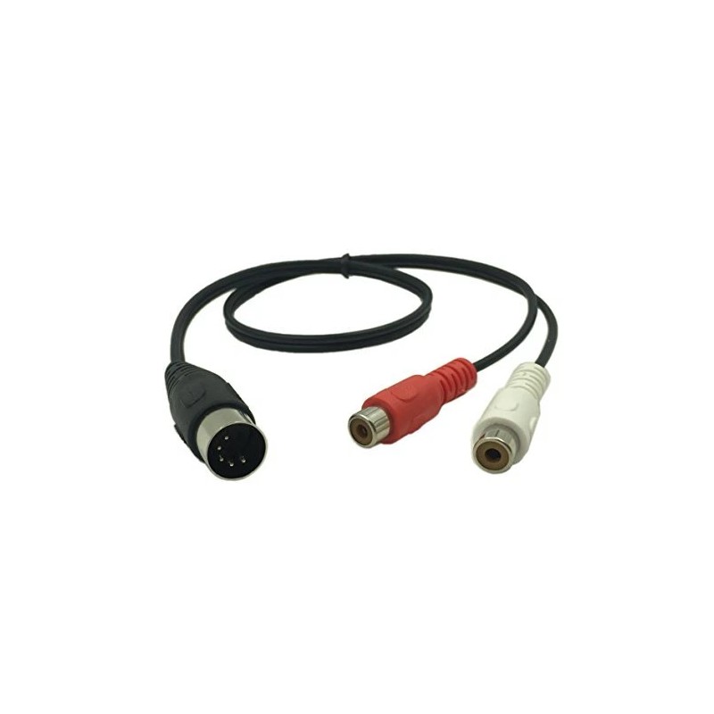 CERRXIAN Lemeng 5 Pin Male Din To 2 Rca Female