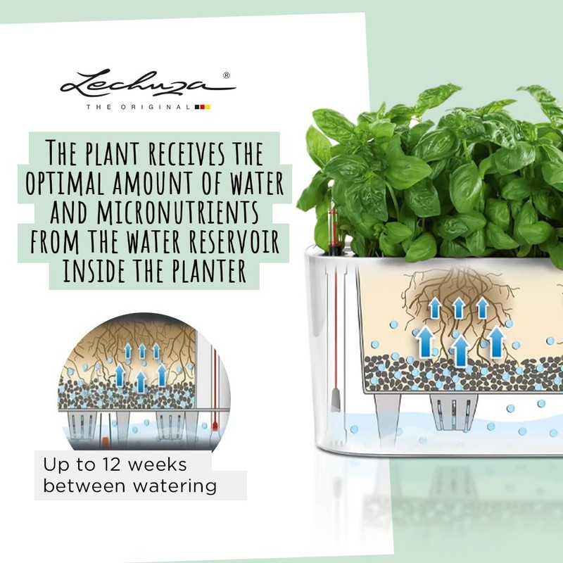 Lechuza 15467 Delta 10 屋内外用 12インチ x 4インチ x 5インチ