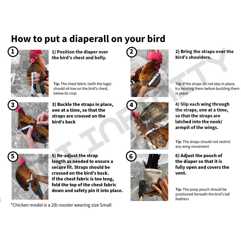 Chicken Diapers Duck Diaper Diaperalls for Hens, Roosters, Ducks, Ducklings