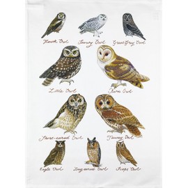 Half a Donkey Hand Drawn Owls Collection Large Cotton Tea Towel