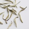 Teapro Supreme Silver Needle White Tea | Bai Hao Yin