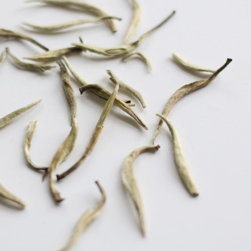 Teapro Supreme Silver Needle White Tea | Bai Hao Yin