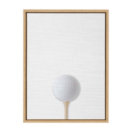 DesignOvation Sylvie Color Golf Ball Portrait Framed Canvas Wall Art, 18x24 Natural, Sporty Wall Decor for Home