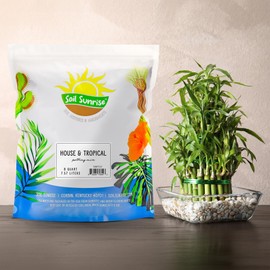 Soil Sunrise Tropical House Plant Potting Mix (8 Quarts); Ideal for Indoor/Outdoor Container Gardening