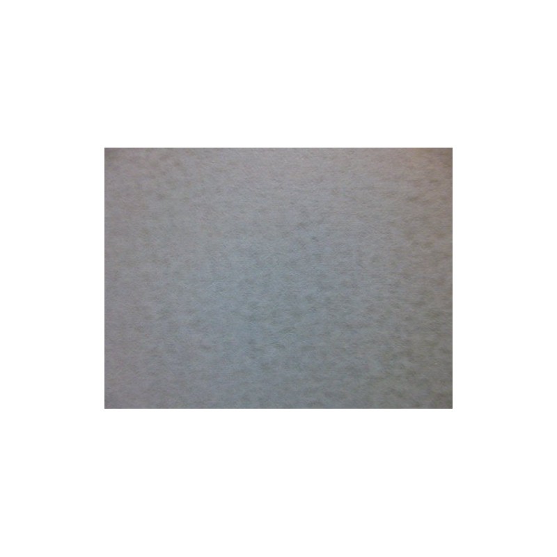 349 PPLS Sandpaper # 4000 Set of 10 