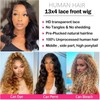 ManeMajesty 18 Inch Body Wave Lace Front Wigs Human Hair