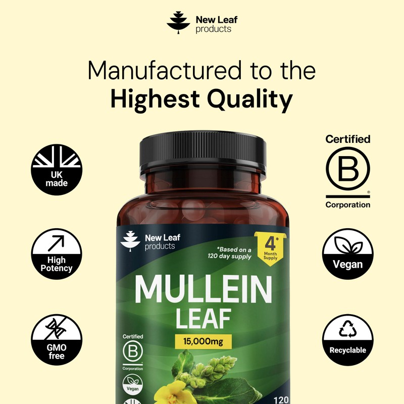 Mullein Leaf Extract for Lungs 15,000mg – High Strength 50:1