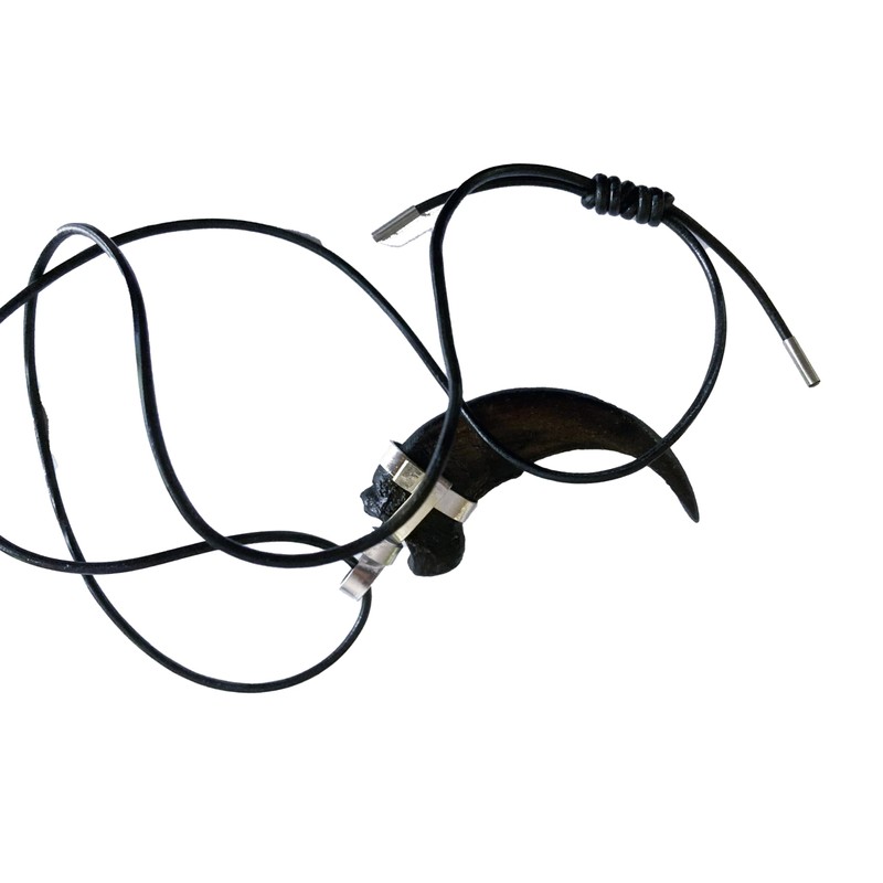 Grant Field Specimens Grizzly Bear Claw Necklace