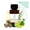 Aromas Para Difusores Profesionales A Base De Aceites 100ml Spa