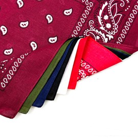 APIGANIZ 100% Cotton Bandanas, 21 x 21 inches, Set of 6 (Basic - Dark Colors)