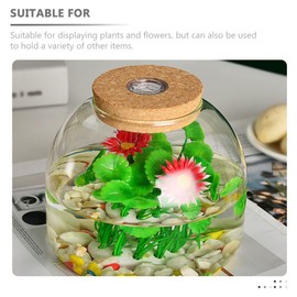 PATKAW Glass Terrarium Jar Container Succulent Plant Terrarium Ecological Bottle with Cork Lid for Succulent Fern Moss Air Plants Display