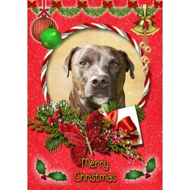 Staffie/Staffordshire Bull Terrier Dog Christmas Card Red 'Merry Christmas' - Special Animal Xmas Card for Him Her from Pets Kids