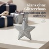 MIJOMA Christmas Decoration Hanging Decoration Stars Silver 6.5 cm Set
