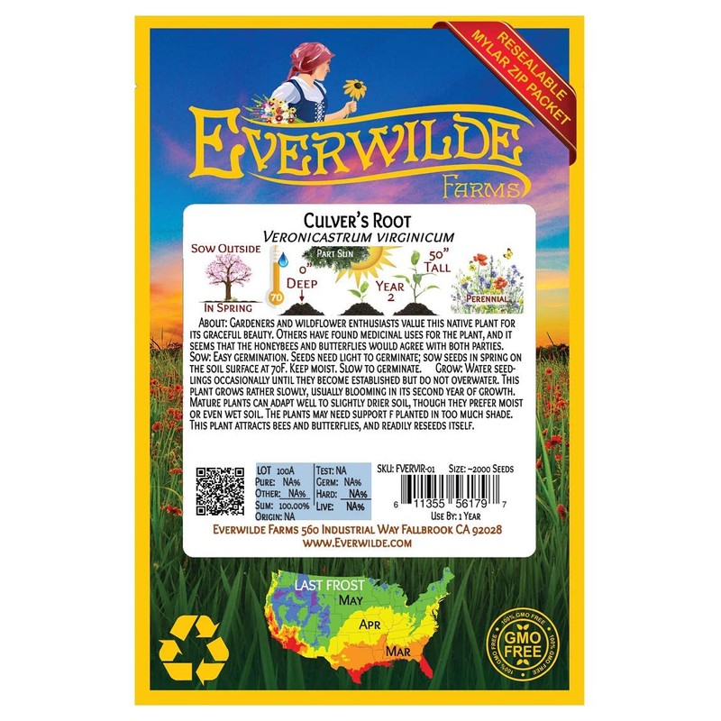 Everwilde Farms - 2000 Culver's Root Native Wildflower Seeds -