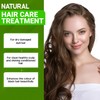 SIDR (JUJUBE) POWDER 100/200/300 gr - A natural cleanser plant