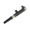 Frankberg 1x Ignition Coil Ignition Module Compatible with Clio II