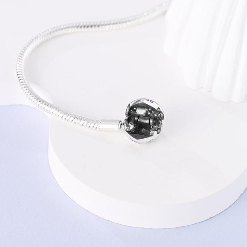 TINSLO Women's Bracelet 925 Sterling Silver, Bracelets with Heart Clasp