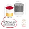 Amoroses Petite - Gift Box 5 Eternal Stabilised Roses -