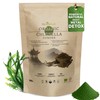 Chlorella Powder | Organic | 500g | Cracked Cell Wall
