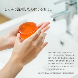 sajina Soap, 3.5 oz (100 g) (3 Months), Sazhi Fruit Oil, Solid Soap, Additive-Free Formulation, Face Washing Soap, Made in Japan, Set of 3