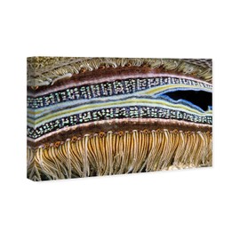 Wynwood Studio Nautical and Coastal Contemporary Wrapped Canvas Art - David Fleetham - Coral Boring Scallop, Wall Art for Living Room, Bedroom, and Bathroom, 36 in x 24, Brown and Blue Home Decor