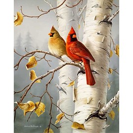 Cardinals West Virginia State Bird Artwork Micro Fiber Cleaning Cloth