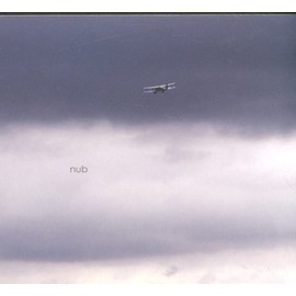 Nub