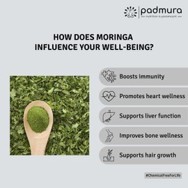 PADMURA Organic Moringa Powder 16 OZ - 1 LB | Moringa Oleifera Leaf Powder Natural Superfood | USDA Organic Certified | Kosher | Non GMO | Gluten Free | Vegan
