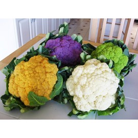 SeedsUP - 300+ Seeds Cauliflower Mix Cabbage - Vegetable Multicolor