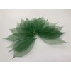 100 Pcs 4-5 Inch Skeleton Leaves Rubber Tree Natural Scrapbooking