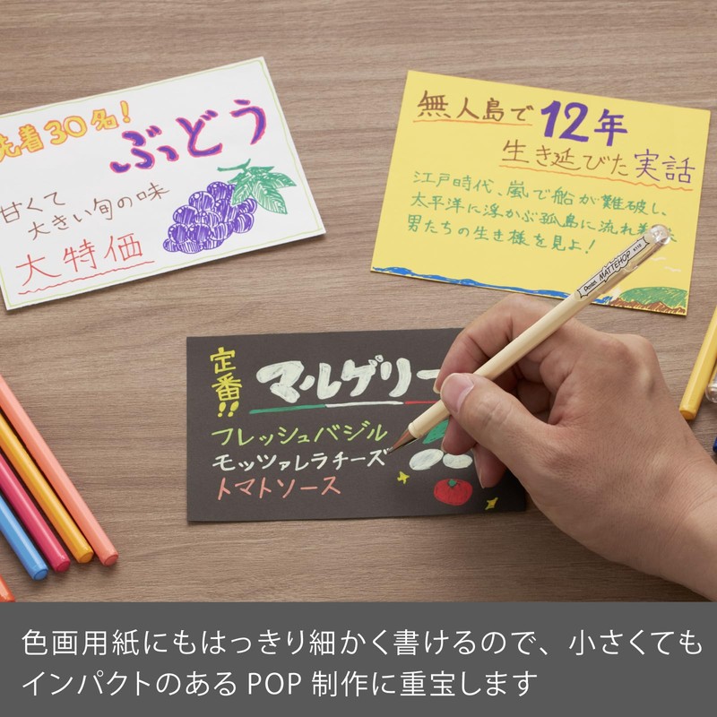 Pentel Ballpoint Pen Color Matte Hop Complete Set, 21 Colors