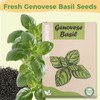 Basil Seed Pods Kit Hydroponic - Refill Herb Pod for