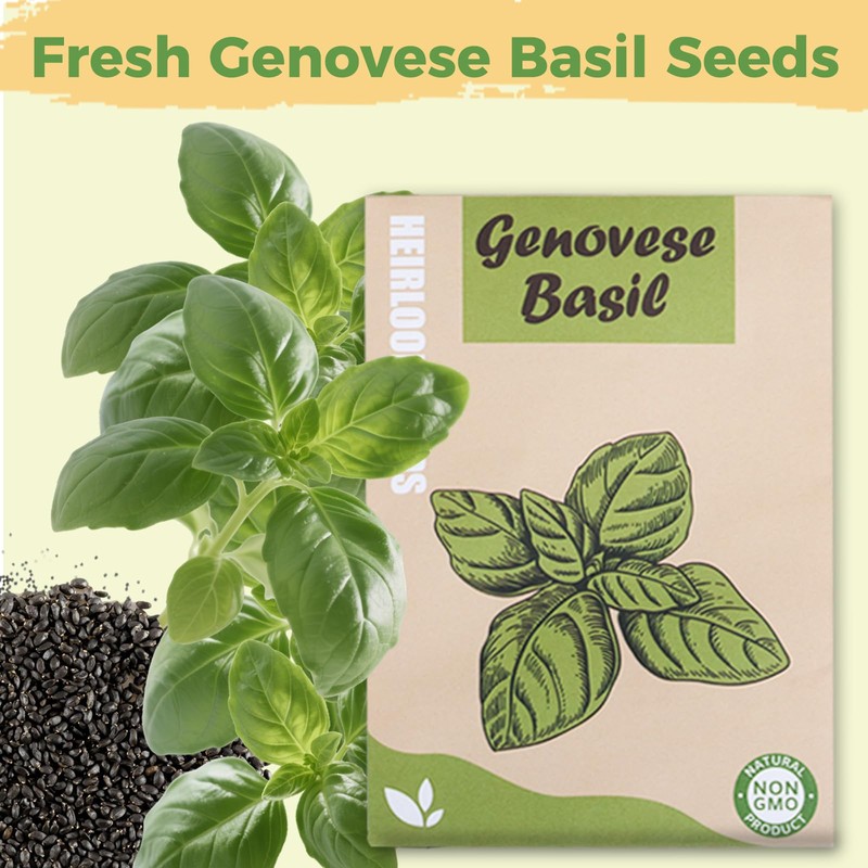 Basil Seed Pods Kit Hydroponic - Refill Herb Pod for