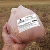 Morepack Poultry Freezer Labels, 50 Pcs 4x3 Inches