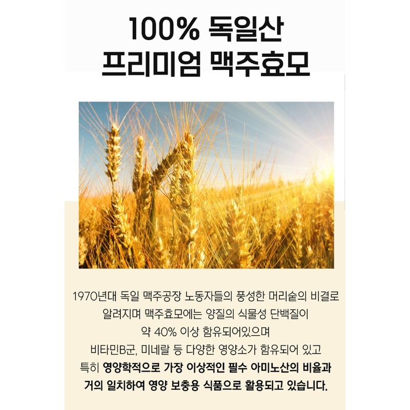 Brewer's Yeast Effect Biotin Gold 2 Months / 맥주효모 효과
