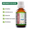 Sane Essentials Kit De 2 Aceites Esenciales Sane Vetiver Y