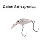 Bass Lures - Top Water Fishing Lures with Hooks |